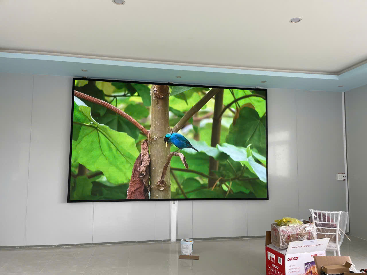 z7162497884179 d88e5e957755cfb9f482aa64739e46fa 1