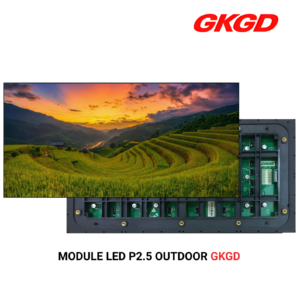 MODULE LED P2.5 OUT GKGD